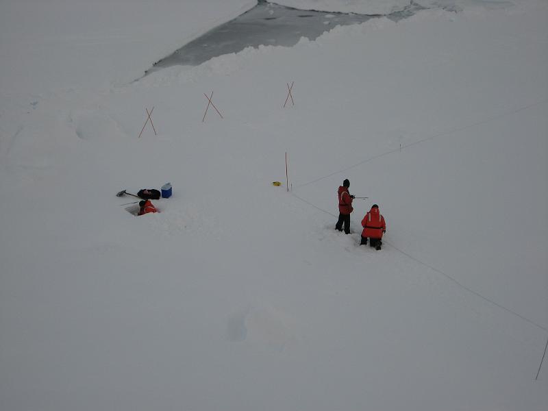 Geophysics transect at Station 2.jpg